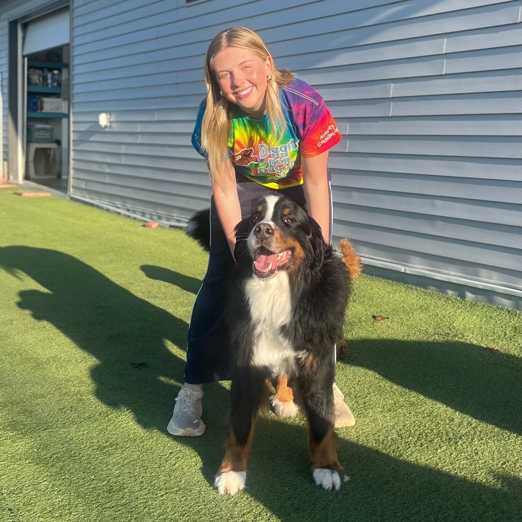 Dog care team member with dog in supervised play area