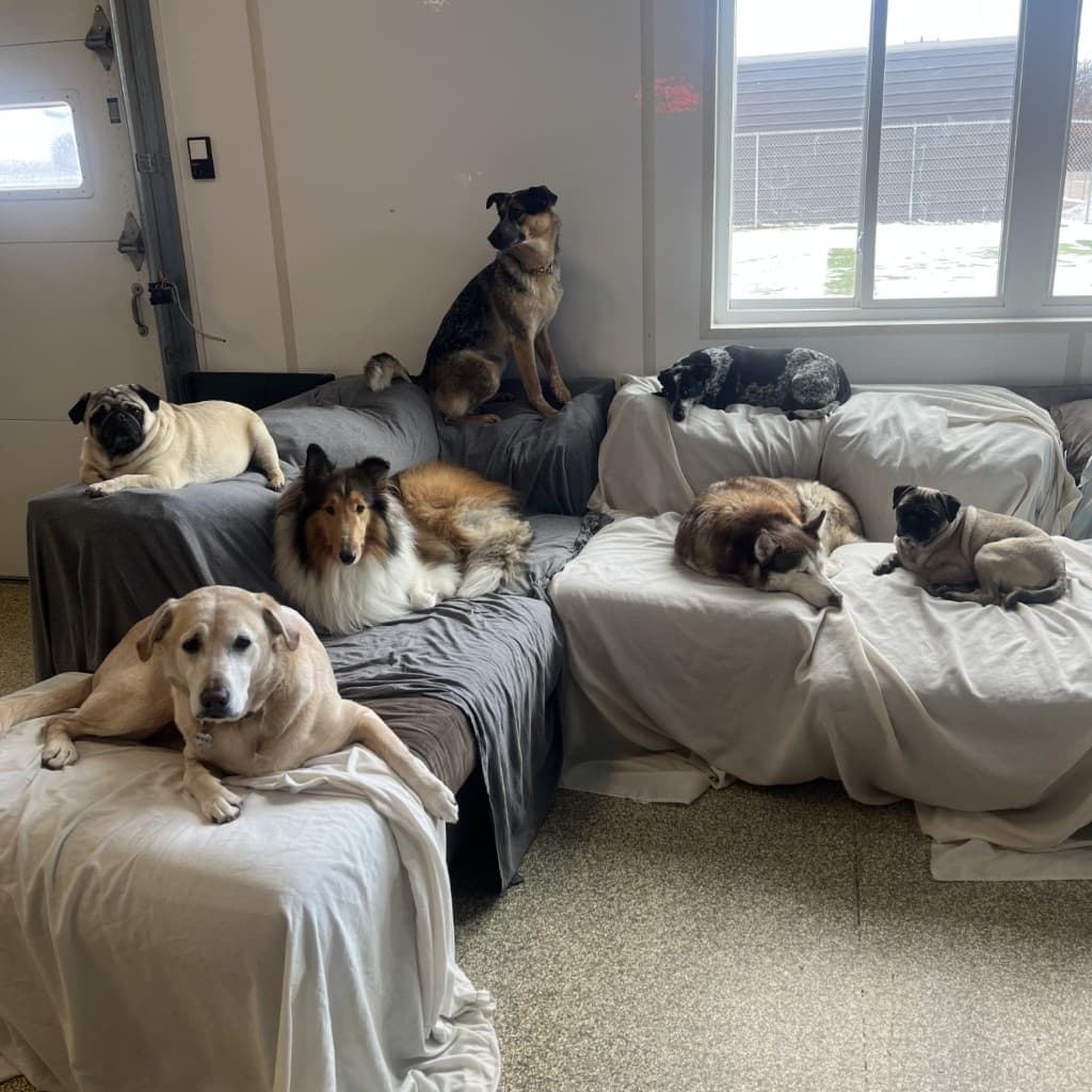 Daycare